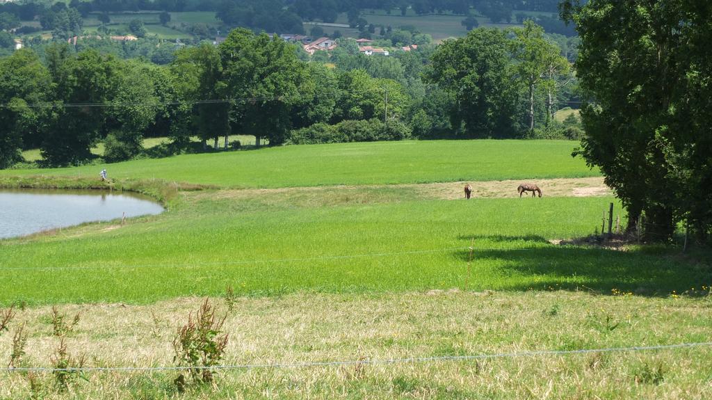 A L'Ombre Du Marronnier Gites La Peruse Exteriér fotografie