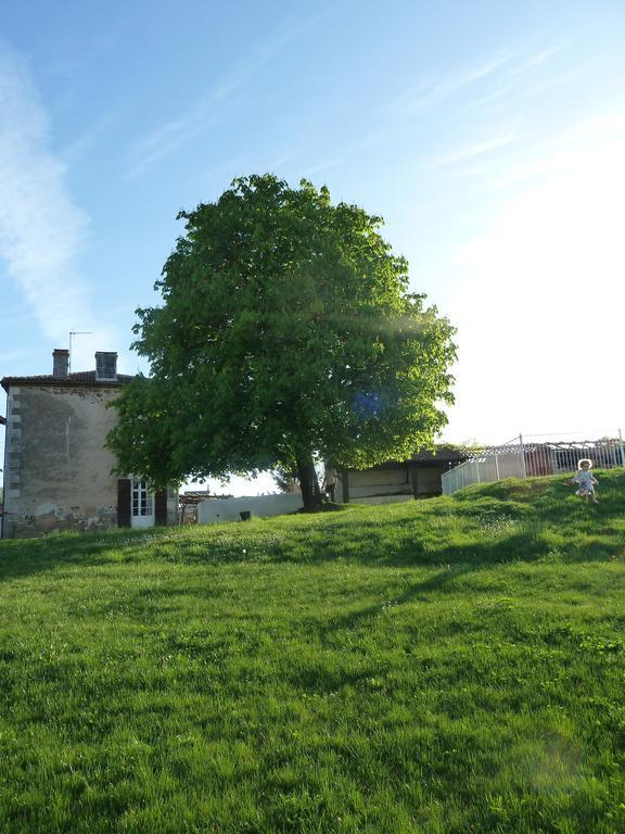 A L'Ombre Du Marronnier Gites La Peruse Exteriér fotografie
